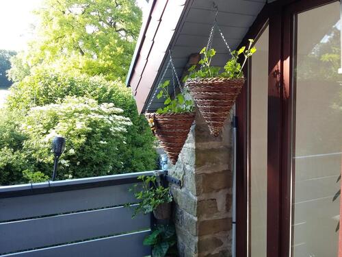 Foto - Etagenwohnung in Horn-Bad Meinberg