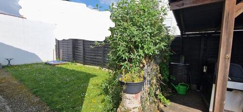 Foto - Einfamilienhaus in Langen (Hessen)