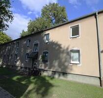 3-Zimmer-Wohnung in Marl Hamm - 262,00 EUR Kaltmiete, in Marl (PLZ: 45772)