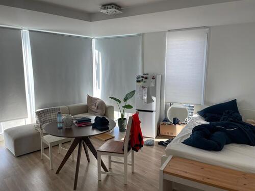 Foto - Hochparterre in Dresden zur Miete