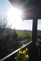 Foto - Ferienwohnung - 50,00&nbsp;EUR Kaltmiete,