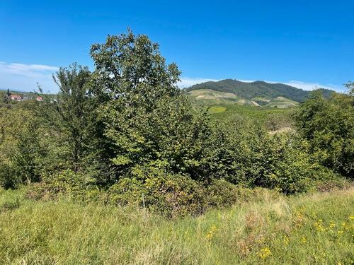 Foto - Grundst&uuml;ck in Bühl