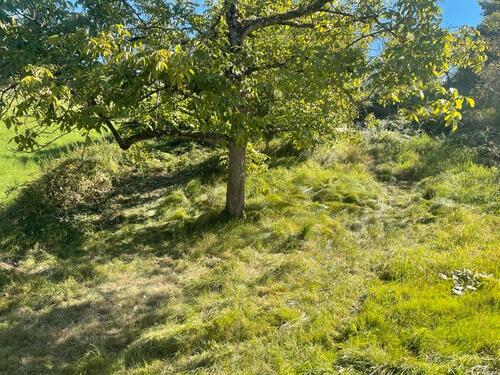 Foto - Grundst&uuml;ck in Bühl zur Miete
