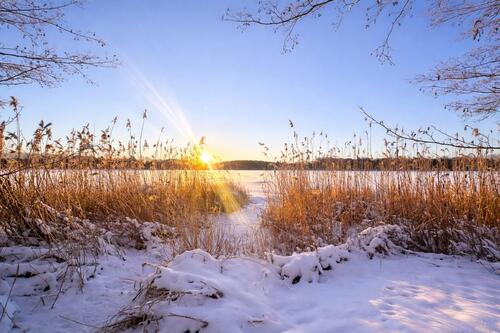 Foto - Natur, Ruhe & Stadtnähe: Doppelhaushälfte in Gröben