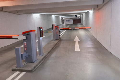 Foto - andere in Braunschweig