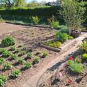 Foto - Garten in 17235 Neustrelitz - 5.000,00 EUR Kaltmiete, ca.  0,00 m²