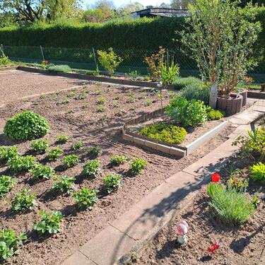 Foto - Garten in 17235 Neustrelitz - 5.000,00 EUR Kaltmiete, ca.  0,00 m²
