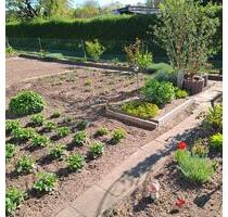 Garten in 17235 Neustrelitz - 5.000,00 EUR Kaltmiete, ca.  0,00 m² in Friedland (PLZ: 17098)