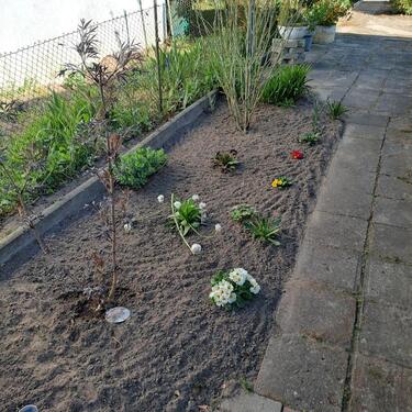 Foto - Grundstück zur Miete in Friedland