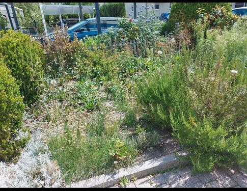 Foto - Haus ab sofort zu vermieten - 1.700,00 EUR Kaltmiete,