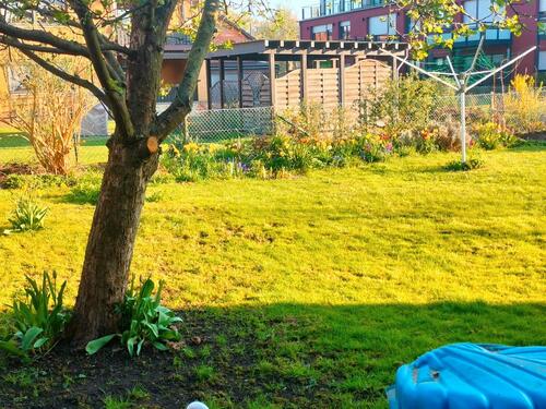 Foto - Mehrfamilienhaus, Wohnhaus in Söhlde zum Kaufen