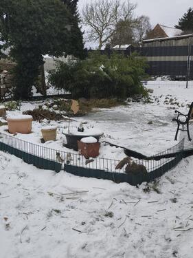 Foto - 3 Zimmer Einfamilienhaus in Goldberg