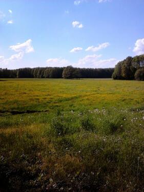 Foto - Haus in 15868 Lieberose - 600.000,00&nbsp;EUR Kaufpreis, ca.&nbsp; 140,00&nbsp;m&sup2;