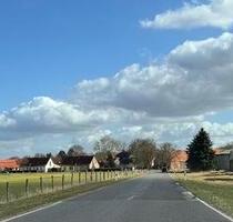 Neubeginn in DDH, Idyllisch & romantisch gelegen im Oderbruch - Bad Freienwalde (Oder)