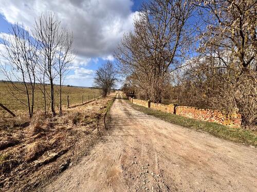 Foto - 4 Zimmer Doppelhaushälfte zum Kaufen in Bad Freienwalde (Oder)