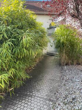 Foto - Etagenwohnung in München zur Miete