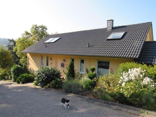 Foto - Idyllische 160m² Traumwohnung mit Balkon und Garten in Hanglage zum 01.12.2025 in Oberzent