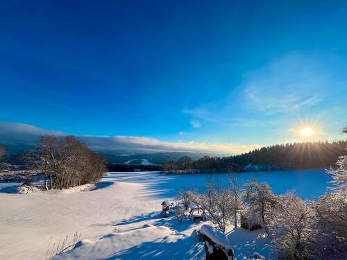 Foto - Ferienwohnung Lieblingsplatzerl im bay. Wald