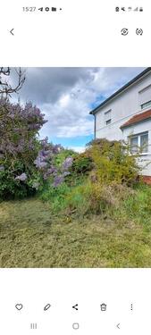 Foto - Einfamilienhaus in Rogätz - 175.000,00&nbsp;EUR Kaufpreis, ca.&nbsp; 130,00&nbsp;m&sup2;