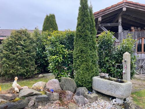 Foto - 3 Zimmer Loft - Studio - Atelier zur Miete in Rechtmehring