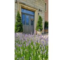 Stilvolles 1ZKB Appartement mit Westbalkon - 2021 san. - Denkmal - Heppenheim (Bergstraße)