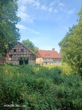 Foto - Fachwerkhaus auf 2.900m² am Waldrand – Alleinlage.Niederschledsen