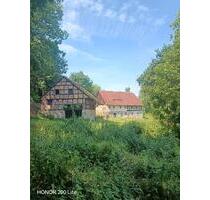 Fachwerkhaus auf 2.900m² am Waldrand – Alleinlage.Niederschledsen - Görlitz Biesnitz