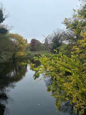 Foto - Lagerfläche Kellerraum in Mitte