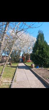 Foto - Schrebergarten in Uelzen - 1.800,00 EUR Kaltmiete, ca.  0,00 m²