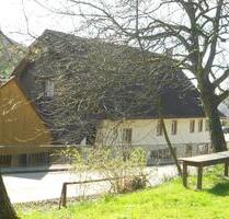 Bauernhaus mit vielen Gestaltungsmöglichkeit - Küssaberg