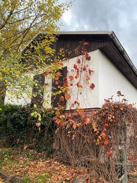 Foto - Garten Pachtgarten in Beidersee mit Bungalow