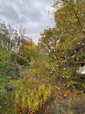 Foto - Grundstück in Wettin-Löbejün