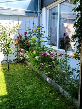 Foto - 3.5 Zimmer Reihenhaus zum Kaufen in Bingen