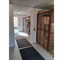 Lagerraum, Abstellraum, Lagerabteil, Lagerplatz, Garage 35 € - Kranzberg