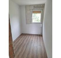 Wohnung EG Willebadessen ca.80qm