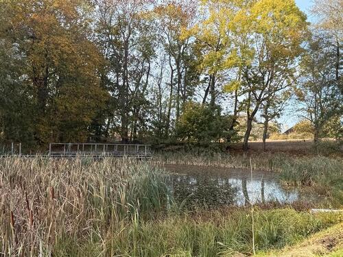Foto - Einfamilienhaus in Prenzlau zum Kaufen
