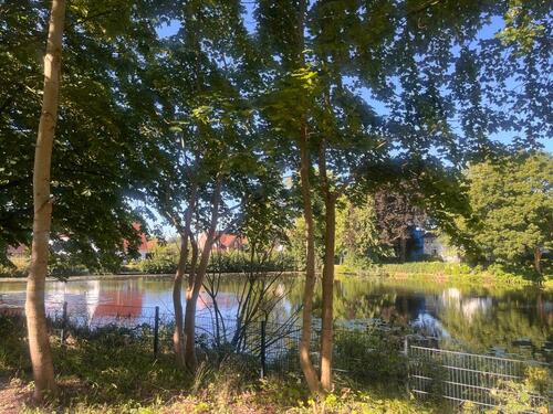 Foto - 4 Zimmer Dachgeschoßwohnung zur Miete in Glückstadt