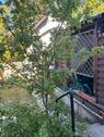 Foto - 3 Zimmer Erdgeschoßwohnung zum Kaufen in Cadolzburg