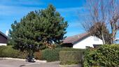 Foto - 8 Zimmer Einfamilienhaus zum Kaufen in Baden-Baden