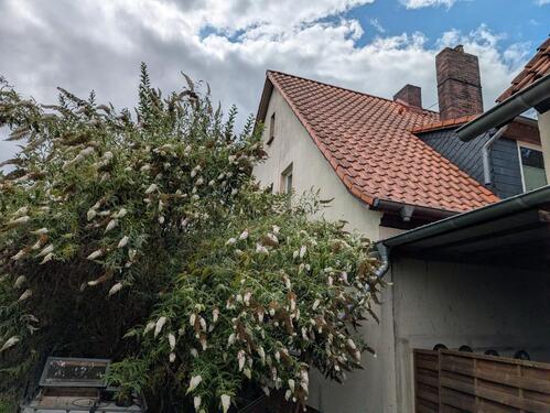 Foto - 9 Zimmer Einfamilienhaus zum Kaufen in Nienburg (Weser)