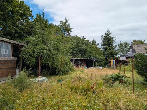 Foto - 9 Zimmer Einfamilienhaus in Nienburg (Weser)