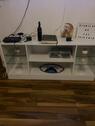 Foto - 2 Zimmer Wohnung zu vermieten in Springe