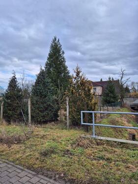 Foto - 8 Zimmer Einfamilienhaus in Calbe (Saale)