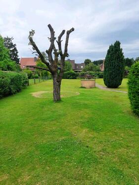 Foto - 7 Zimmer Einfamilienhaus zur Miete in Südheide