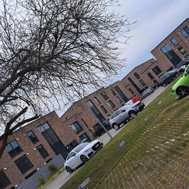 Foto - Vermietung schöne helle Neubauwohnung in Horst