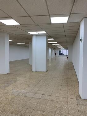 Foto - andere zum Kaufen in Wettenberg