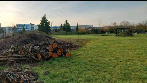 Foto - Vermietung - 20,00&nbsp;EUR Kaltmiete, ca.&nbsp; 0,00&nbsp;m&sup2;