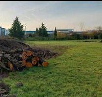 Vermietung - 20,00 EUR Kaltmiete, ca. 0,00 m² in Landau in der Pfalz (PLZ: 76829) Vermietung - 20,00 EUR Kaltmiete, ca. 0,00 m² in Landau in der Pfalz (PLZ: 76829)