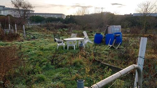 Foto - Grundst&uuml;ck in Landau in der Pfalz