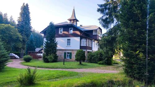 Foto - 16 Zimmer Villa zum Kaufen in Altenberg